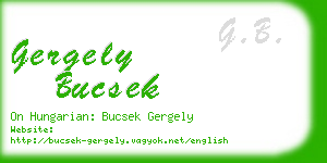 gergely bucsek business card